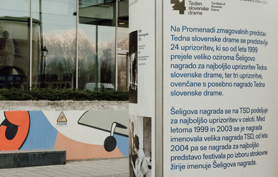 Promenada zmagovalnih predstav TSD <em>Foto: Maša Pirc</em>
